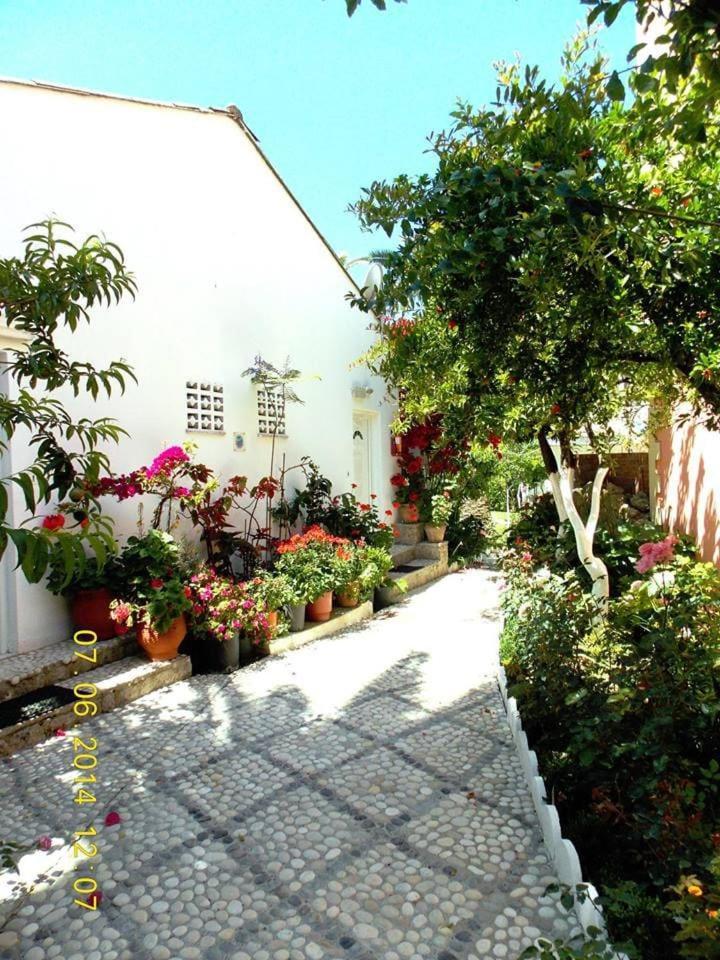 Katerina's