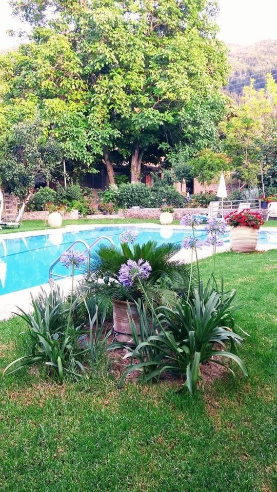 Katerina's Agios Gordios (Corfu)