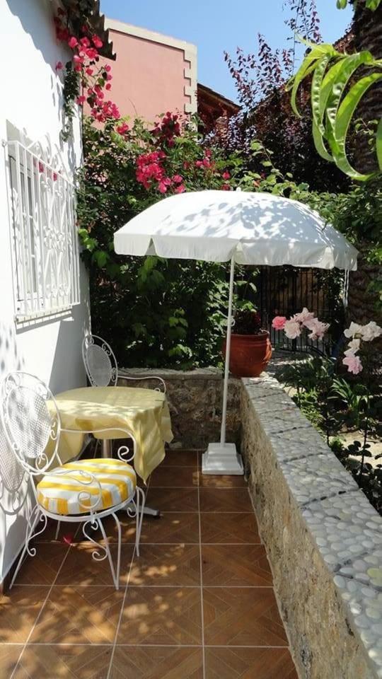 Katerina's
